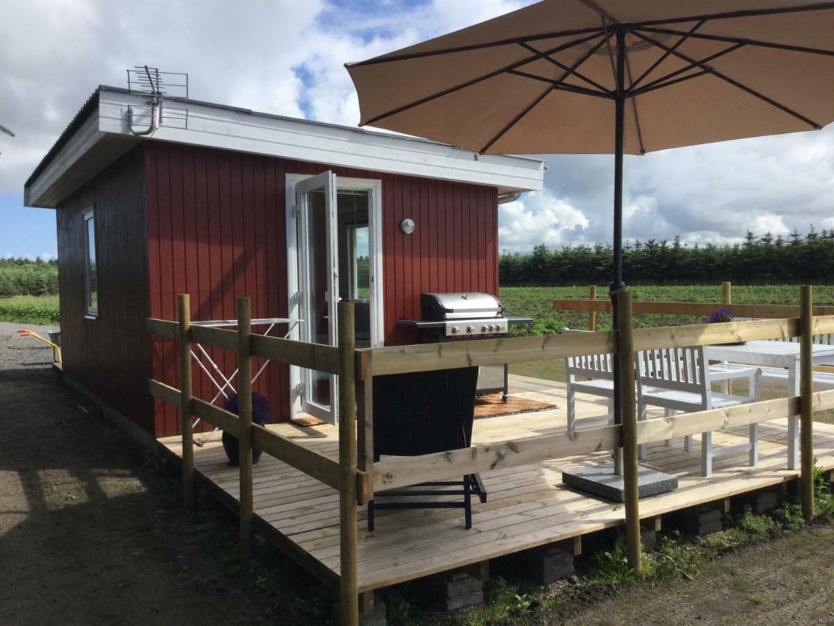 Feriehytten Honsehuset Løkken Exterior foto